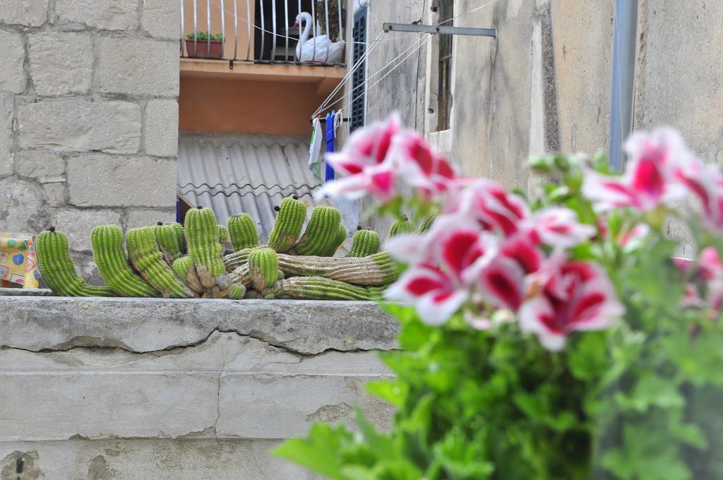 Villa Stagnja Split Habitación foto
